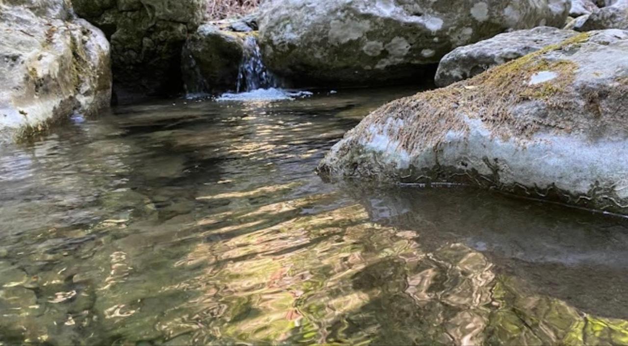 Casa Della Nonna Villa Chianni Dış mekan fotoğraf